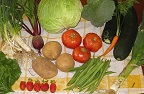Carbohydrates logo