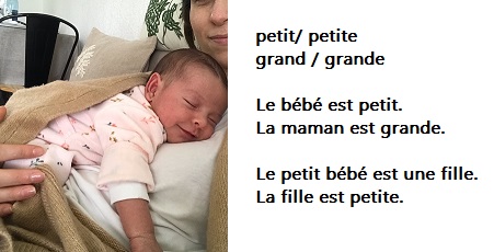 Adjectives in French